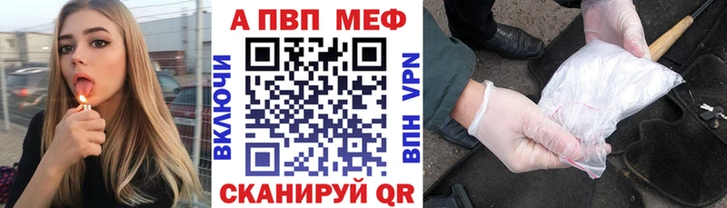 закладки  Никольск  Alfa_PVP СК КРИС 